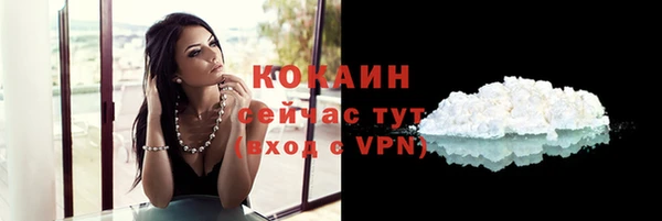 соль ск Белокуриха